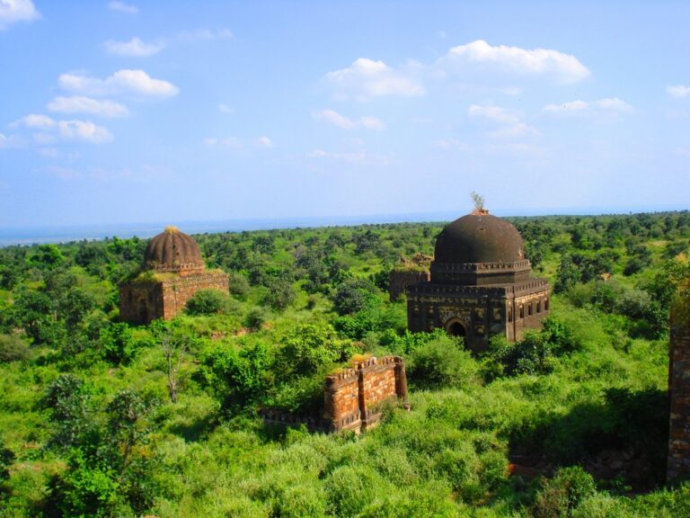 indorei-fort-on-aravali-hill